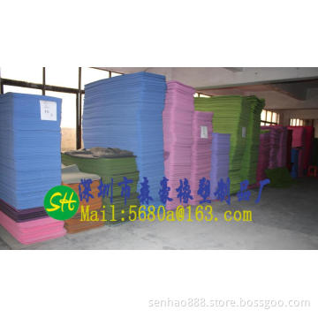 Yoga mat/Exercise Mat